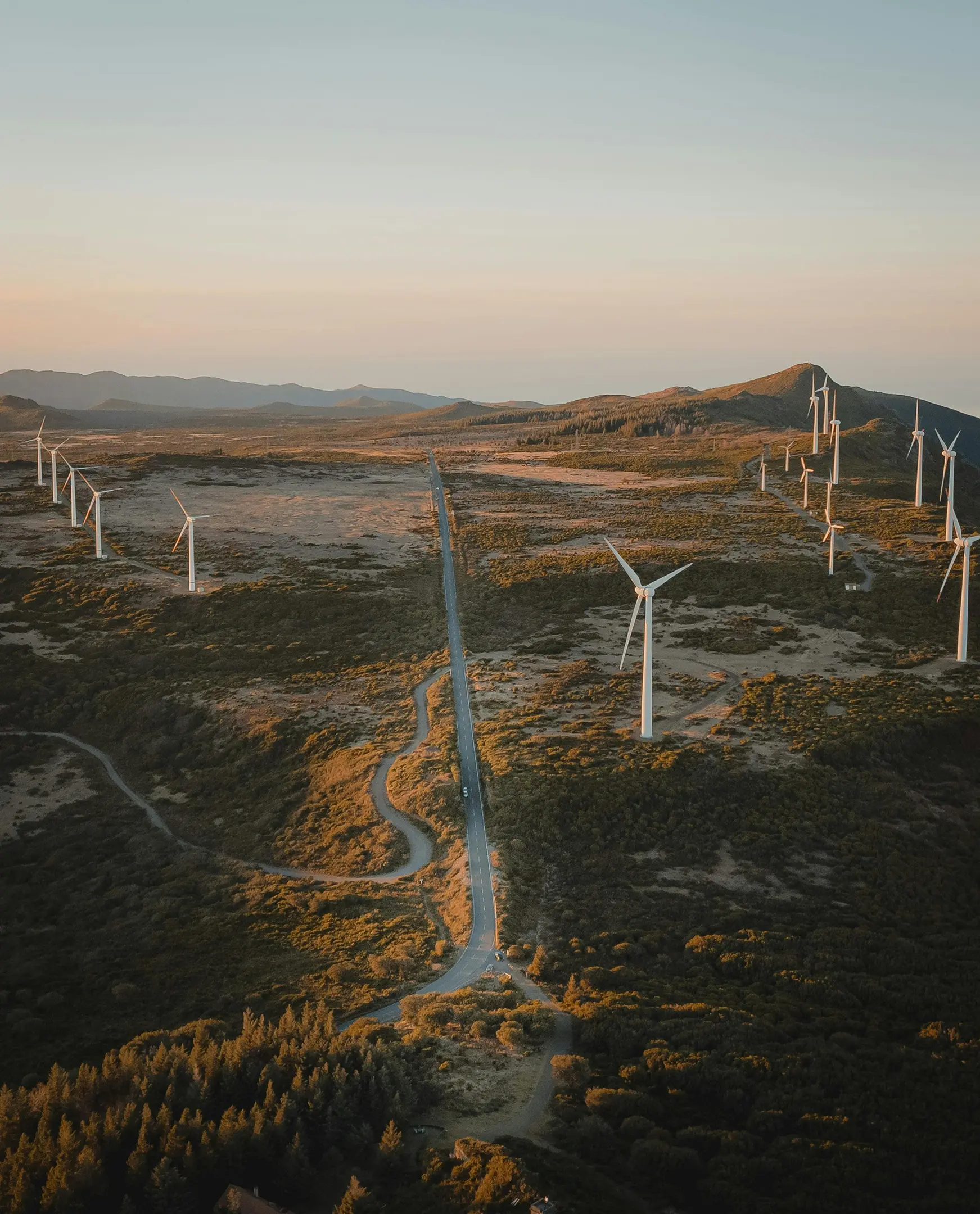 Wind turbines on a vast landscape at golden hour